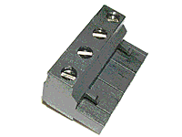 393710006