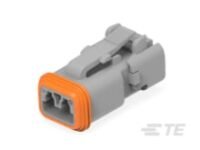 DT06-2S-TE31