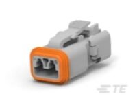 DT06-2S-TF31